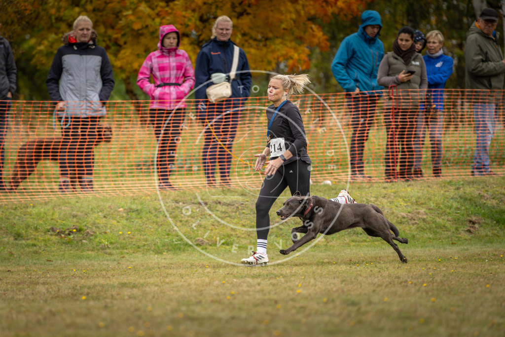 Pfotenfotografie_DV3A4323 | Hundefotografie, Tierfotograf, Pfotenfotografie, Fotoshooting Hund, Hunde Portrait, Hundesport, Hundeportraits, Heideshooting, Hunde, Sportfotograf, Hundefotograf, Turnierhundsport, THS,  - Realisiert mit Pictrs.com