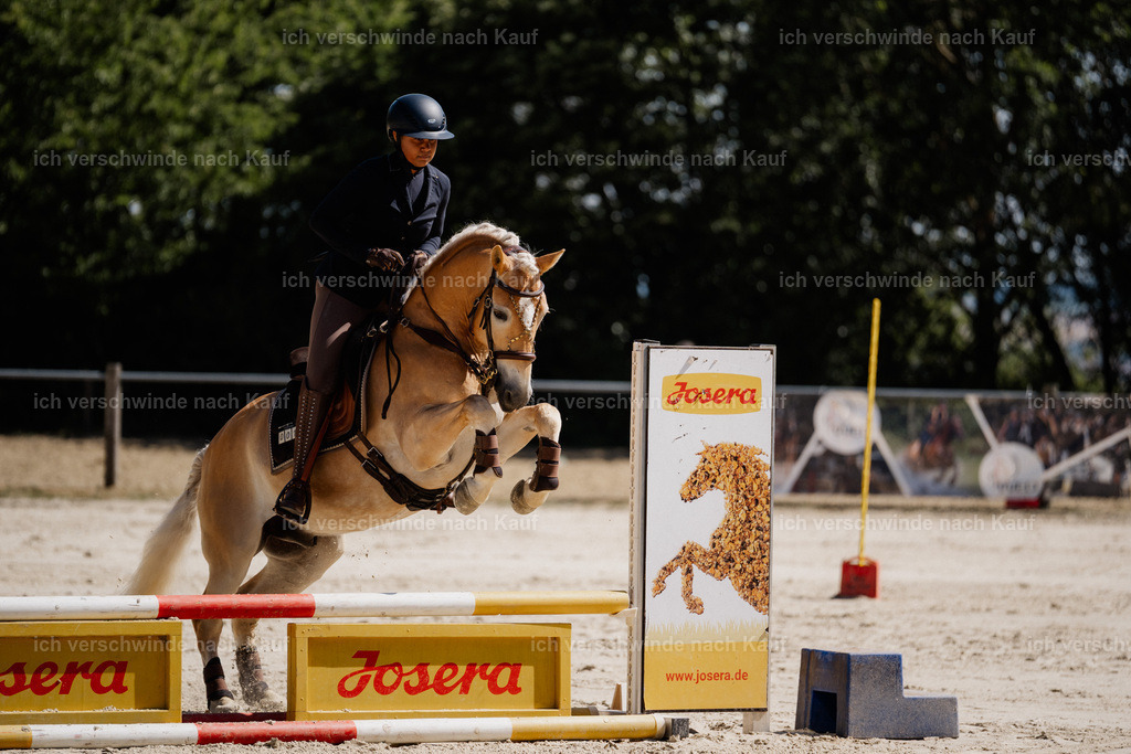 WS_ST_1_stoibphotography_SO10533 | working equitationturnier fotograf videograf stoibphotography marixx film working equitation deutschland reitsport turnierfotografie eventfotografie equestrian events