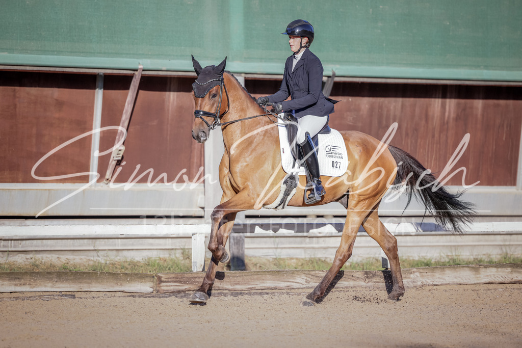 20250906-_3LI2901 | Tierfotografie Pferde, Hunde, Katzen, Haustiere.
Turnierfotografie Reitturniere, Reiten, Springreiten, Dressur in Hanau, dem Main-Kinzig-Kreis und dem Rhein-Main- Gebiet um Frankfurt