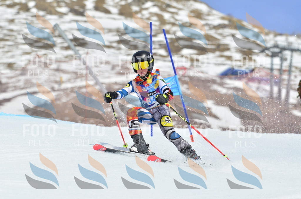 _ELE2542 | holidayphoto