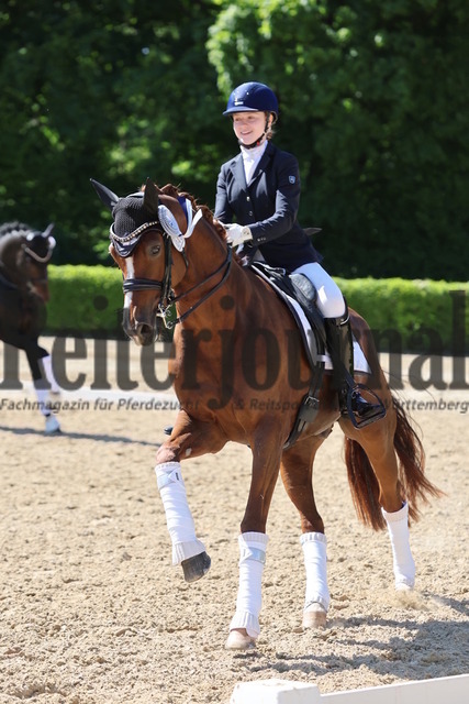 Böblingen_2025_Prfg.Nr.08_Dressurprüfung_Kl.M_Nürnberger Burgpokal_Siegerehrung_Prfg.Nr.08__ (18) | Alle Fotos der Reiterjournal Fotografin Doris Matthaes im Reiterjournal Online-Fotoshop. - Realisiert mit Pictrs.com