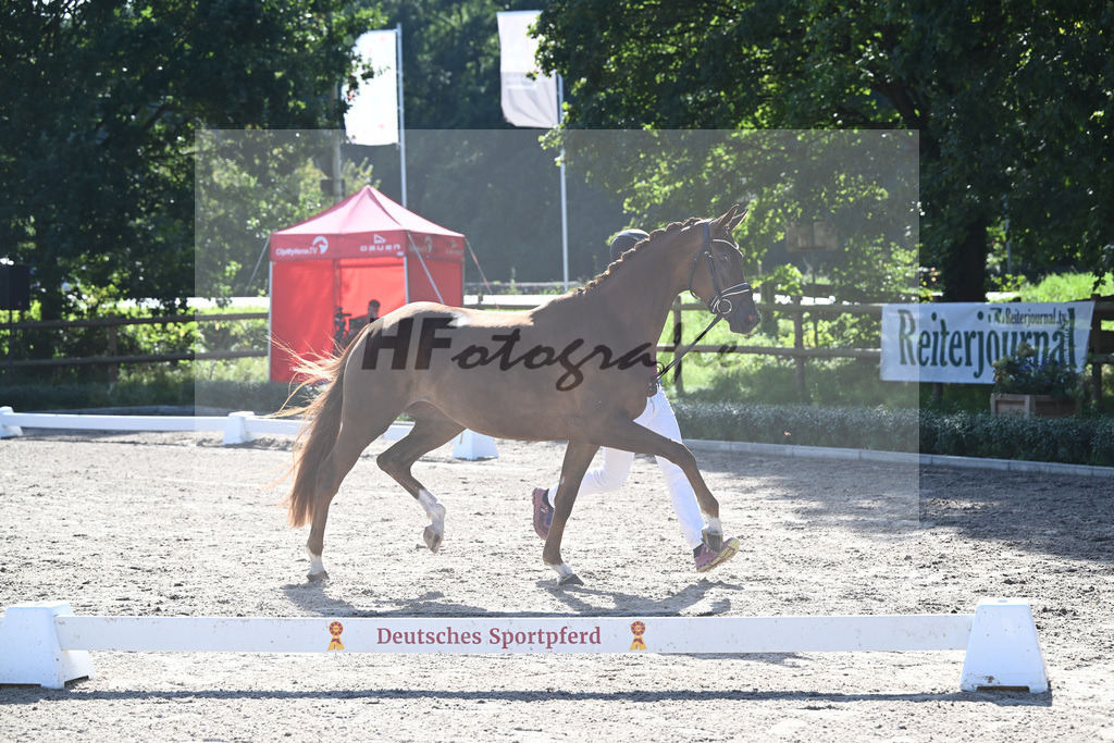 Kat-Nr. 20 Qaskiya_Kloessinger_36230807 | hf-fotografie - Realisiert mit Pictrs.com