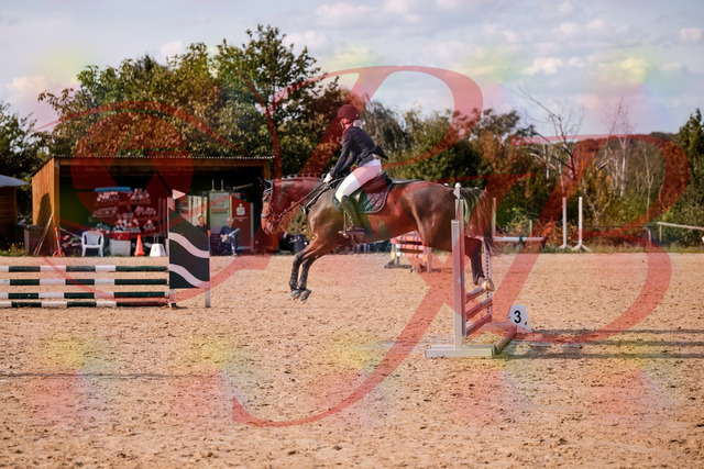 2026_10_03_Siefer-Hof_154126_Z81_57979863 | Professionelle Reitsport-, Turnier- und Eventfotografie von Robert Broda. Galerien mit ausgewählten und bearbeiteten Bildern direkt online ansehen und bestellen.