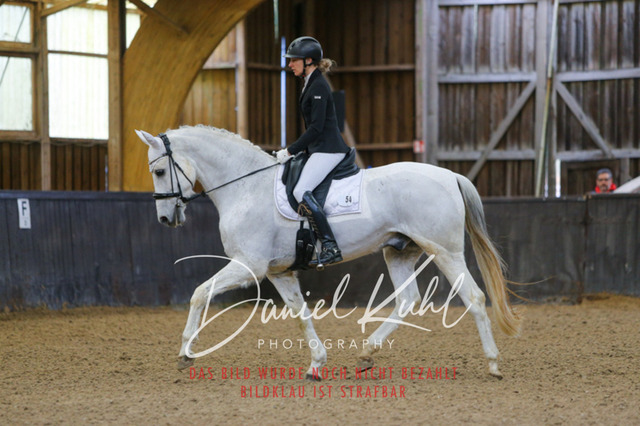 IMG_0096 | Turniersportfotografie; Pferdefotografie; Dressurfotografie