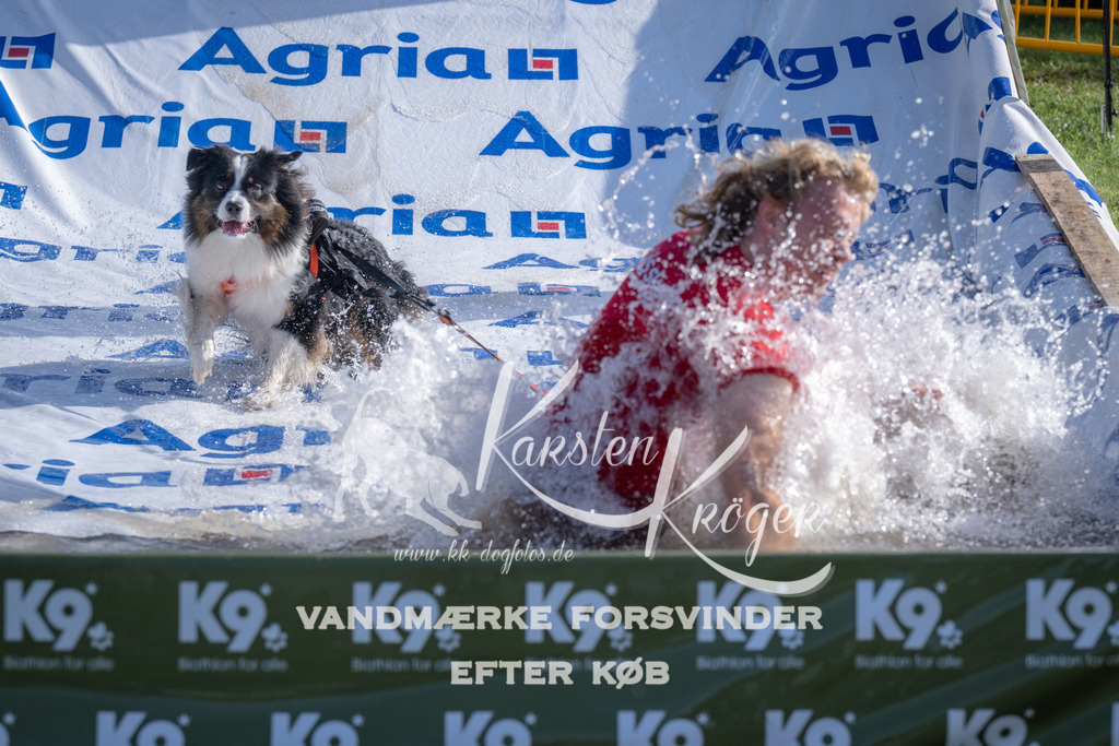 0920_ZZ95038 | kk-dogfotos