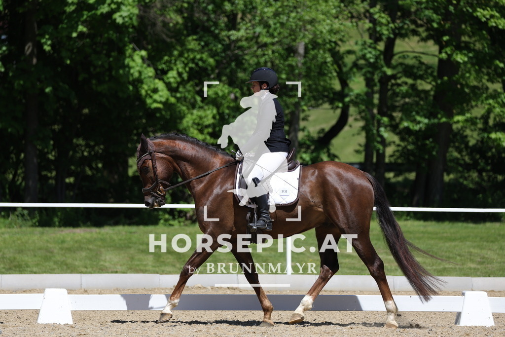 0P6A0967 | Willkommen bei Brunnmayr - Design & Fotografie – Ihrem Spezialisten für Reitturniere und Pferdeveranstaltungen in Oberösterreich, Salzburg und Bayern! Seit über 17 Jahren sind wir leidenschaftlich dabei.