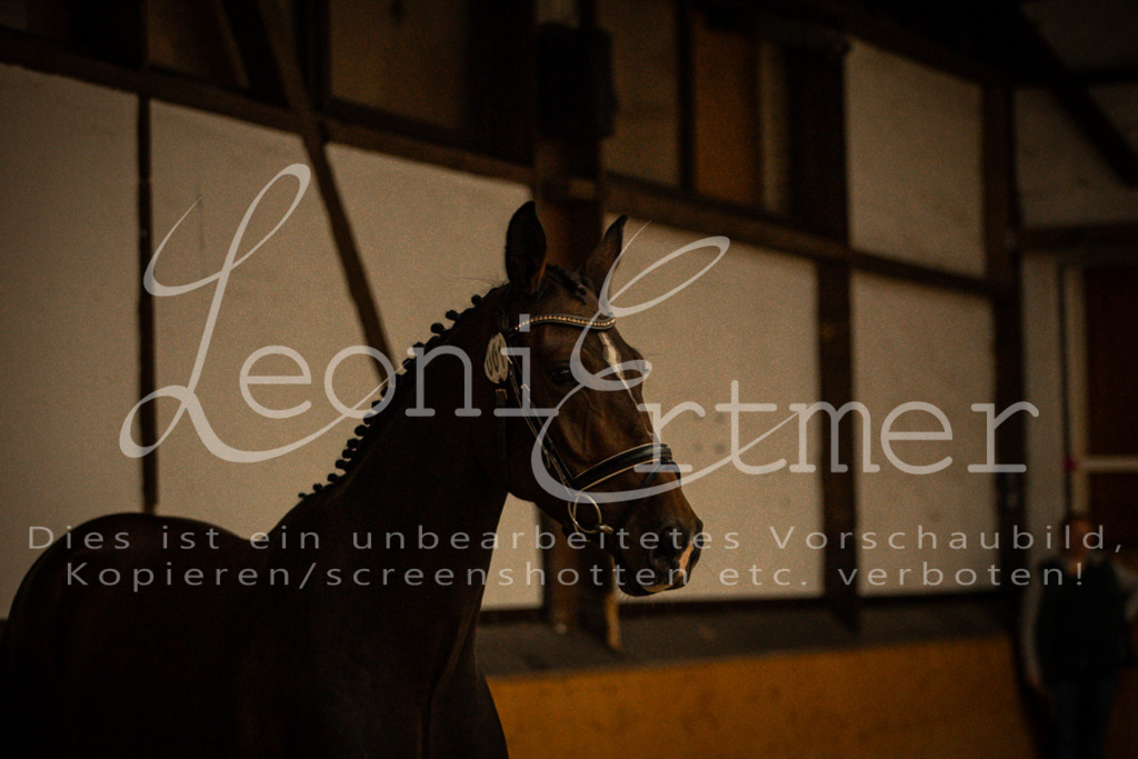 1FS_L00011 | Leoni Ertmer Photography - Realisiert mit Pictrs.com