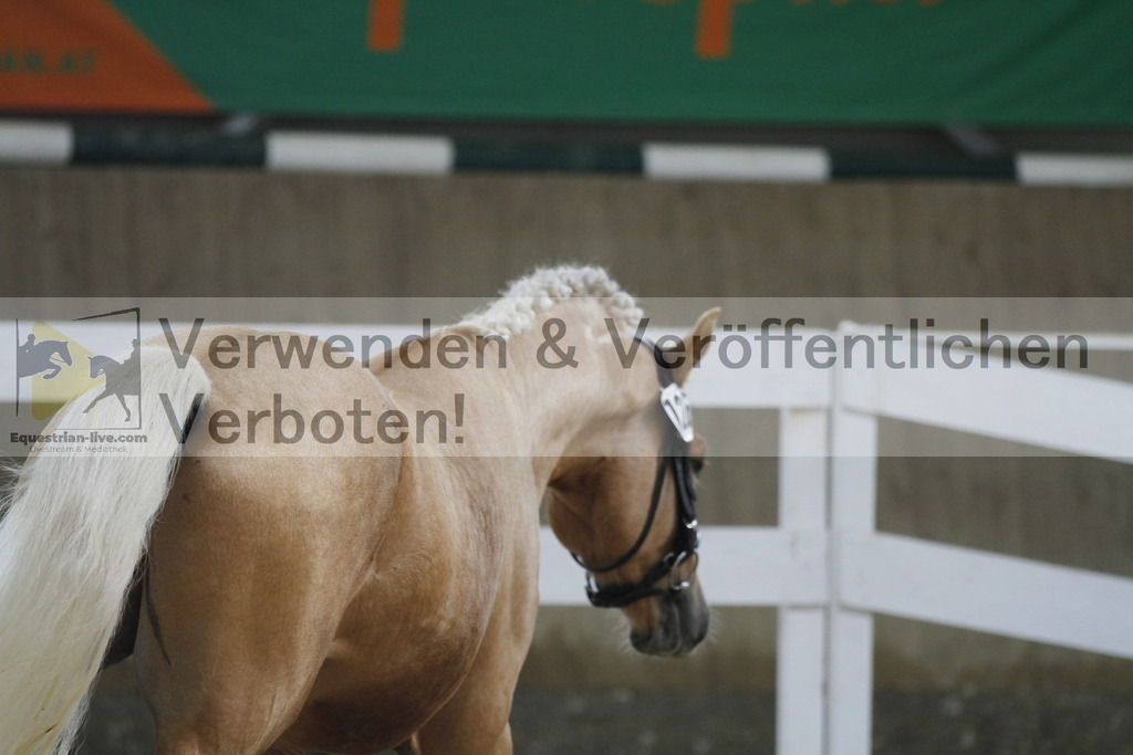 _MG_9733 | equestrian-live-com