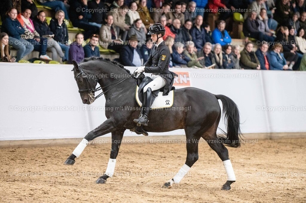 20260307_Hengstvorstellung-Marbach_0504 | equistock