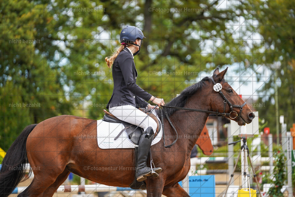 20221009-FAH08648 | Diessen am Ammersee, 2022, Dressur- und Springturnier, Reitsportbilder, Turnierfotografen Bayern, Pferdefotografen, Fotoagentur Herrmann, Turnierbilder