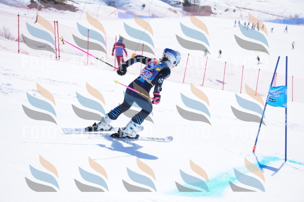 DSC_4154 | holidayphoto