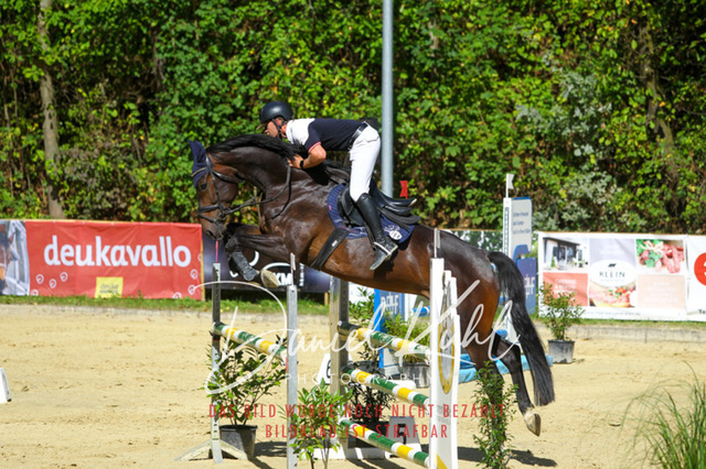 DKP43315 | Turniersportfotografie; Pferdefotografie; Dressurfotografie