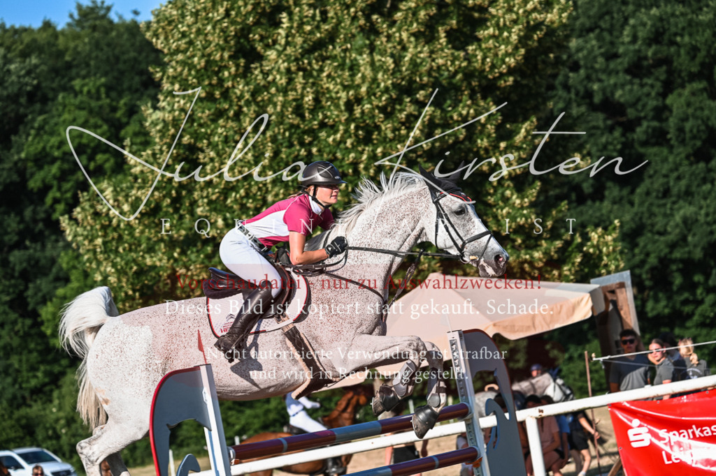 DSC_3015 | Pferde- und Turnierfotografie in Westsachsen. Pferdeportraits, Auftragszeichnungen und intuitive Kunst.