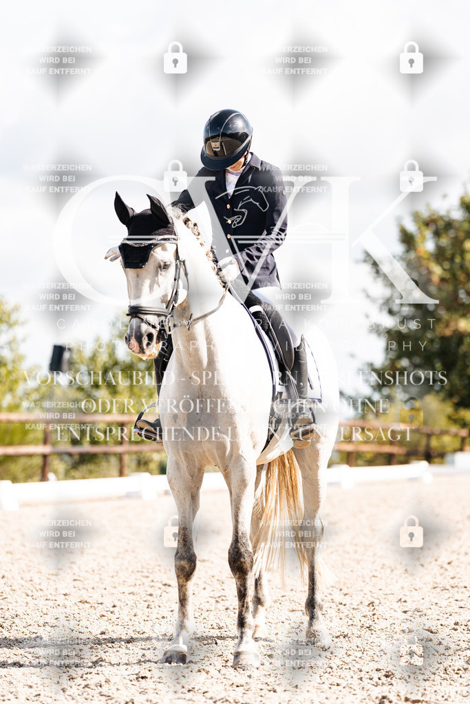 CK902068 | Turnierfotografie Pferdefotografie Trier Rheinland-Pfalz Pferdesport Reitsport Tierfotografie Sportfotografie Pferdevideo Pferdevideografie Equestrianvideography equestrianphotography  - Realisiert mit Pictrs.com