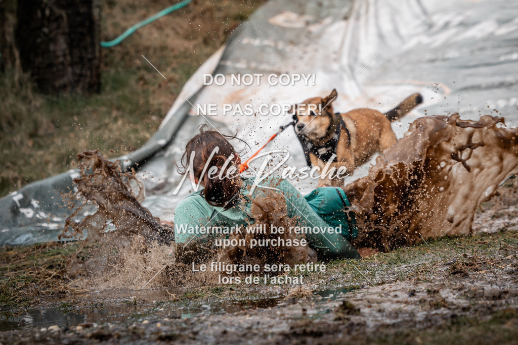 nelerasche_1430-1500_54 | nelerasche