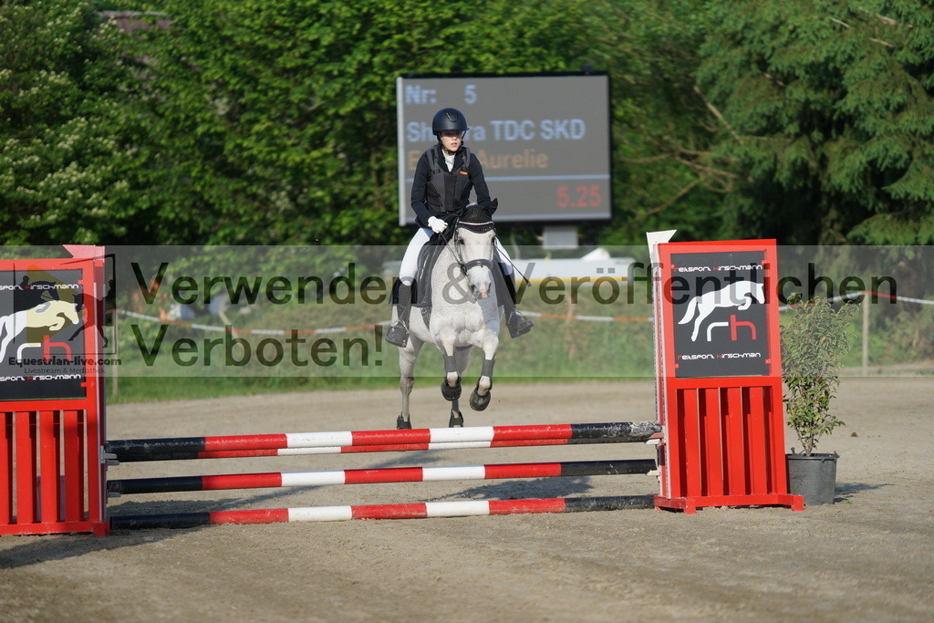 DSC05849 | equestrian-live-com