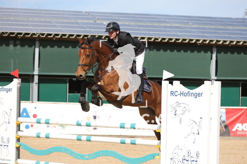0P6A9207 | Willkommen bei Brunnmayr - Design & Fotografie – Ihrem Spezialisten für Reitturniere und Pferdeveranstaltungen in Oberösterreich, Salzburg und Bayern! Seit über 17 Jahren sind wir leidenschaftlich dabei.