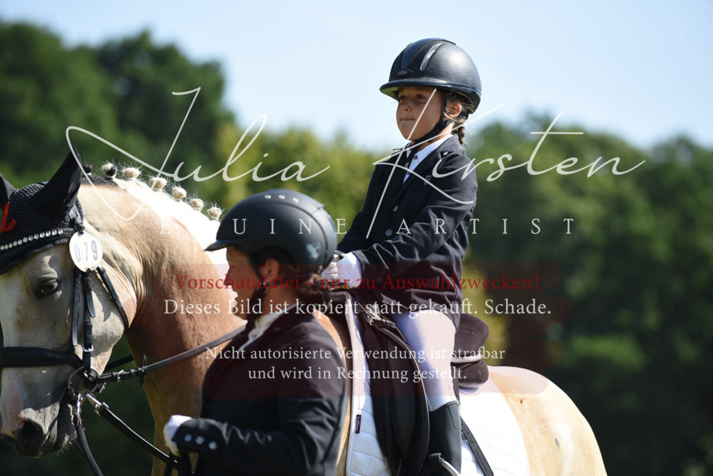 DSC_9858 | Pferde- und Turnierfotografie in Westsachsen. Pferdeportraits, Auftragszeichnungen und intuitive Kunst.