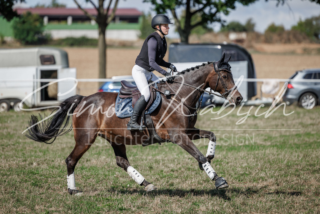 20260905-_3LI9539 | Tierfotografie Pferde, Hunde, Katzen, Haustiere.
Turnierfotografie Reitturniere, Reiten, Springreiten, Dressur in Hanau, dem Main-Kinzig-Kreis und dem Rhein-Main- Gebiet um Frankfurt