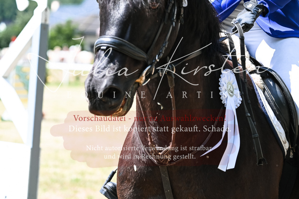 DSC_9524 | Pferde- und Turnierfotografie in Westsachsen. Pferdeportraits, Auftragszeichnungen und intuitive Kunst.