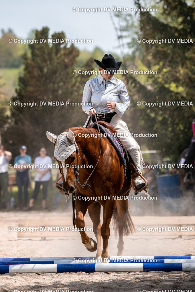 Balingen Tag 4-649 | dv-media-shop - Realisiert mit Pictrs.com