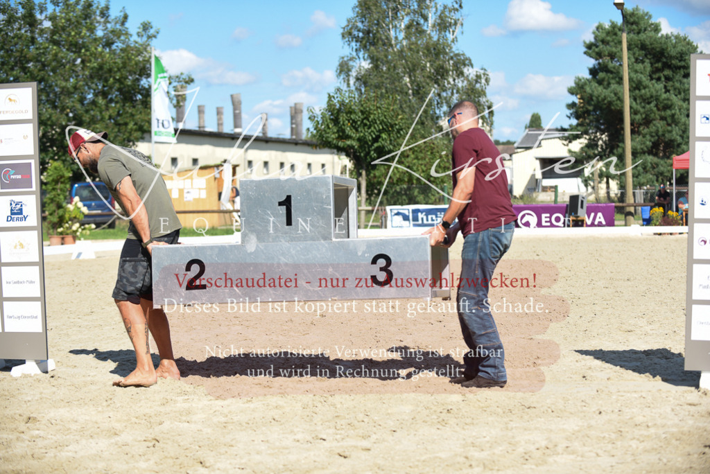 DSC_9824 | Pferde- und Turnierfotografie in Westsachsen. Pferdeportraits, Auftragszeichnungen und intuitive Kunst.