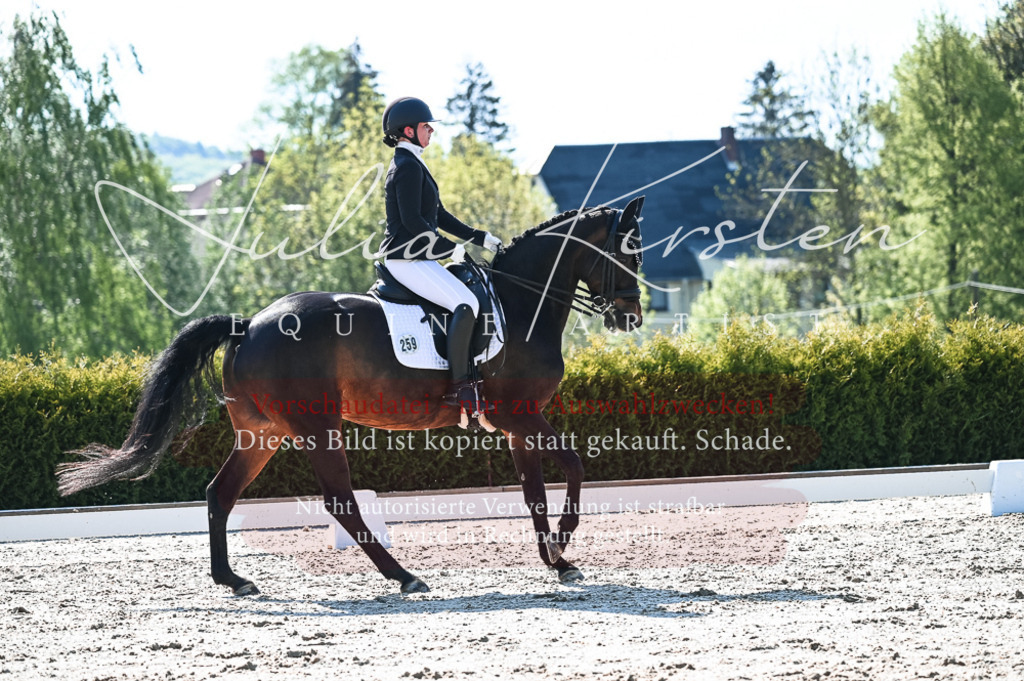 20230514_JK-Röhrsdorf-18-358 | Pferde- und Turnierfotografie in Westsachsen. Pferdeportraits, Auftragszeichnungen und intuitive Kunst.