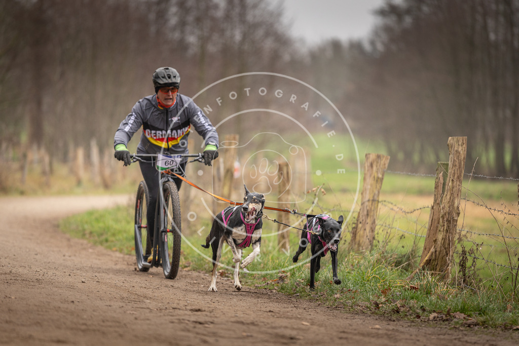 Pfotenfotografie_DV3A3228 | Hundefotografie, Tierfotograf, Pfotenfotografie, Fotoshooting Hund, Hunde Portrait, Hundesport, Hundeportraits, Heideshooting, Hunde, Sportfotograf, Hundefotograf, Turnierhundsport, THS,  - Realisiert mit Pictrs.com