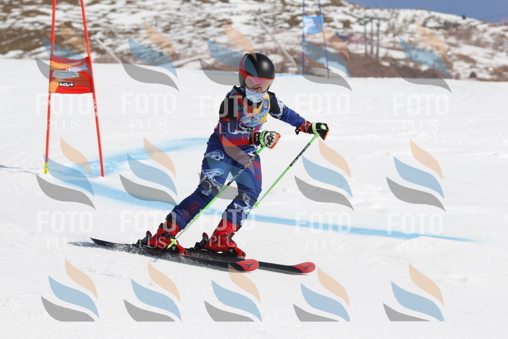 _U3G0649 | holidayphoto