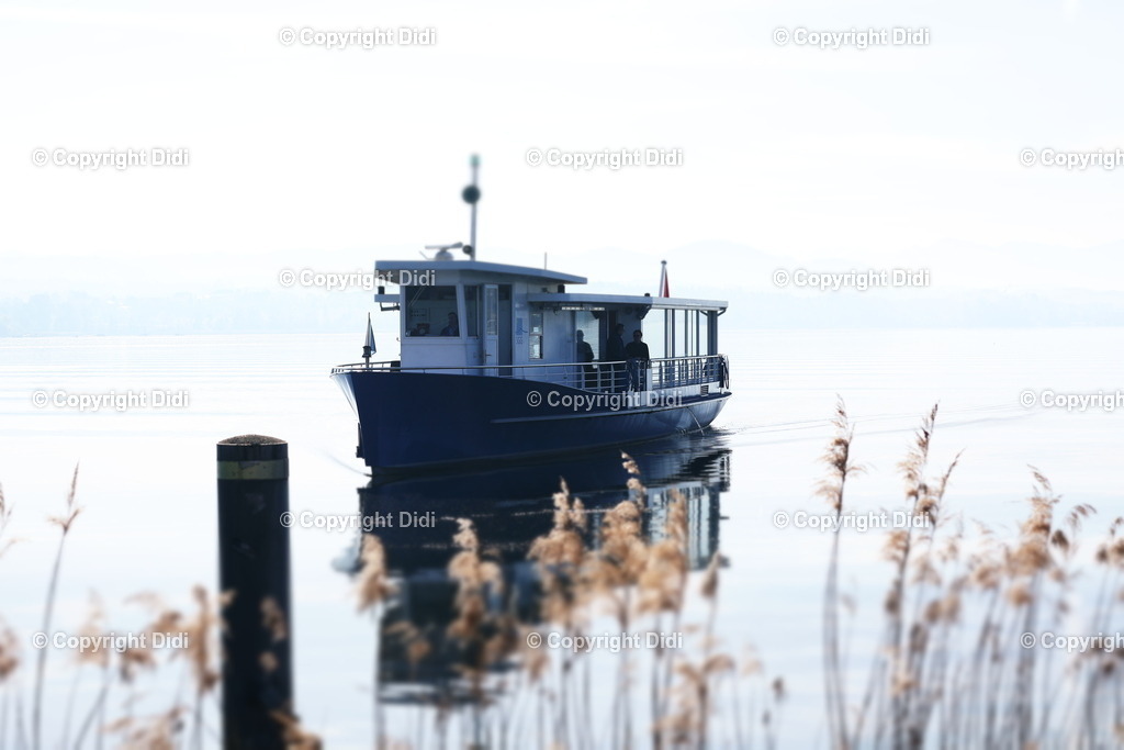 IMG_2366 | Didi - Realisiert mit Pictrs.com