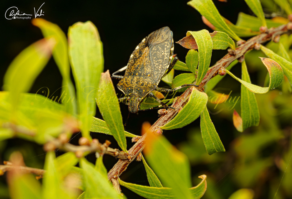 MN 20 | Christian Vulin  - Realisiert mit Pictrs.com