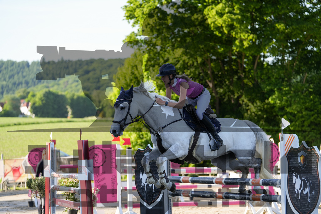 DSC02544 | Julian Held Fotografie - Realisiert mit Pictrs.com