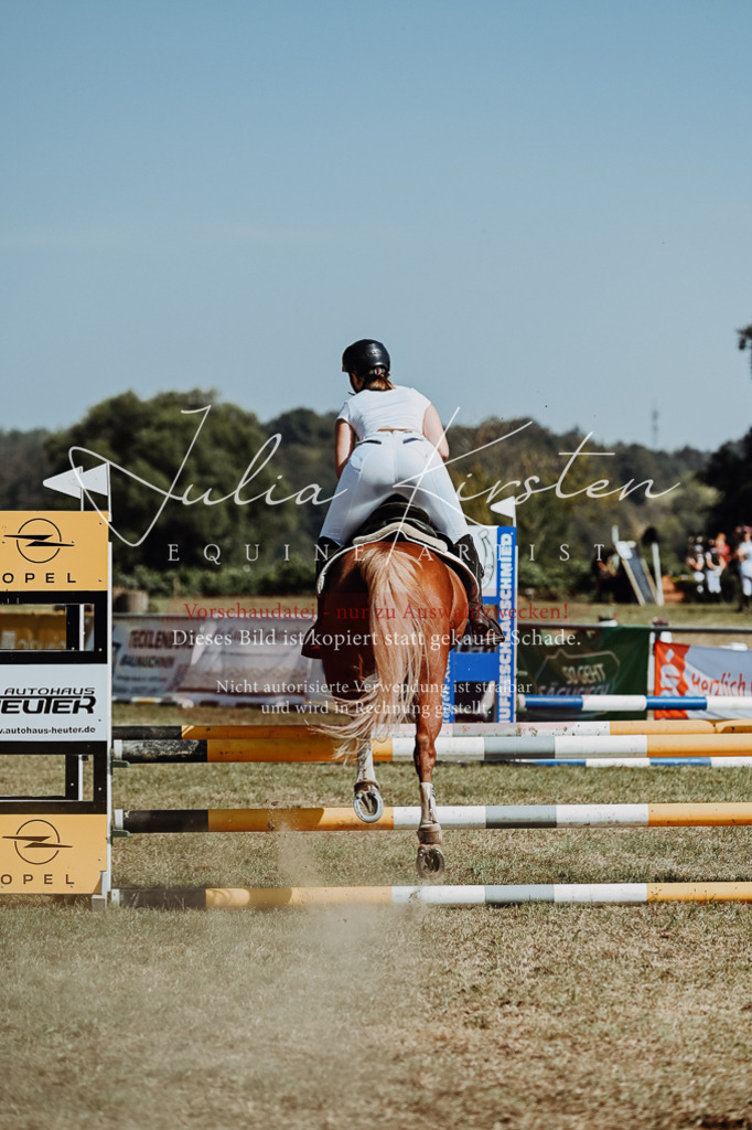 DSC_0026 | Pferde- und Turnierfotografie in Westsachsen. Pferdeportraits, Auftragszeichnungen und intuitive Kunst.