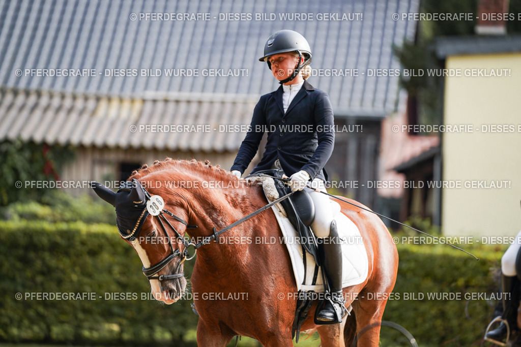 DSC05263 | Pferdegrafie