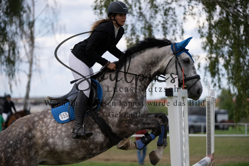 A7V04849 | Turnier/Reitfotograf