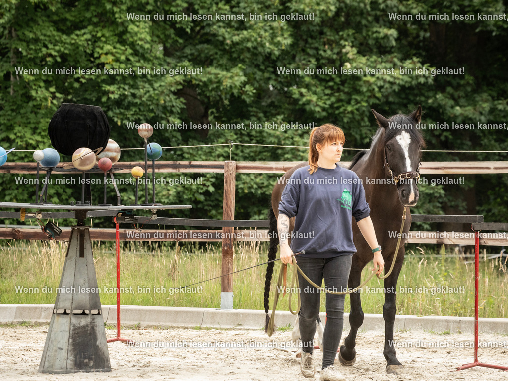 598A6610 | photographylinaismer - Realisiert mit Pictrs.com