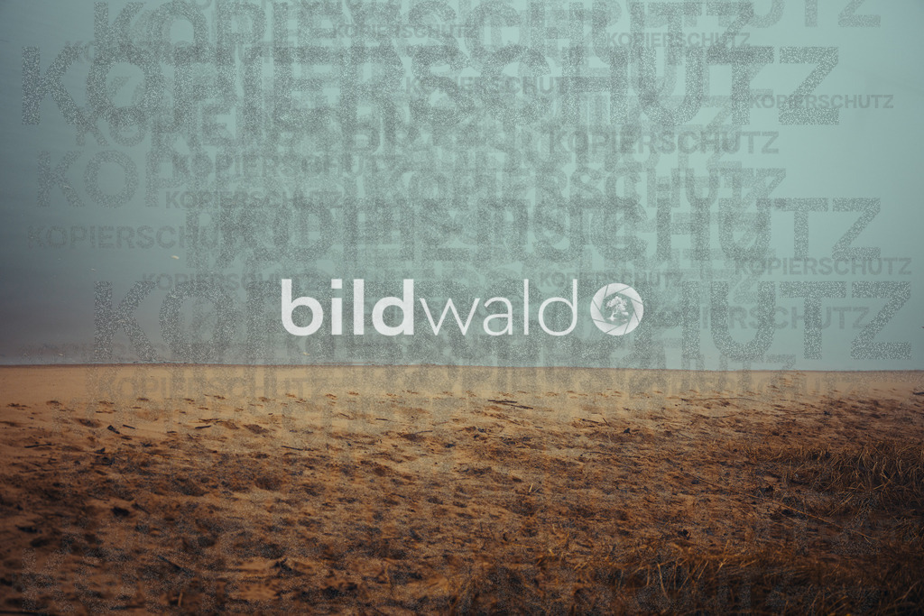 christmas tree elsfleth crazy mad thingy-4204 | BILDWALD - eine Auswahl an Bildern von Thomas Perrotton zum bestellen und genießen. Alle Bilder von Thomas Perrotton - Alle Bilder mit einer SONY Kamera gemacht - SONY TAMRON SIGMA PHOTOSHOP LIGHTROOM BILDWALD Online kaufen Bilderwald Wandbilder - Realisiert mit Pictrs.com