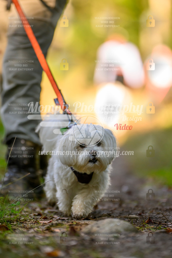 MompixPhotography_Yens2025_B3-148 | PayLife