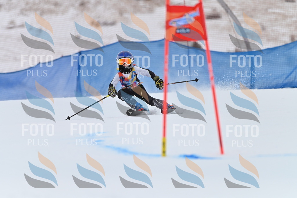 BGV_1888 | holidayphoto