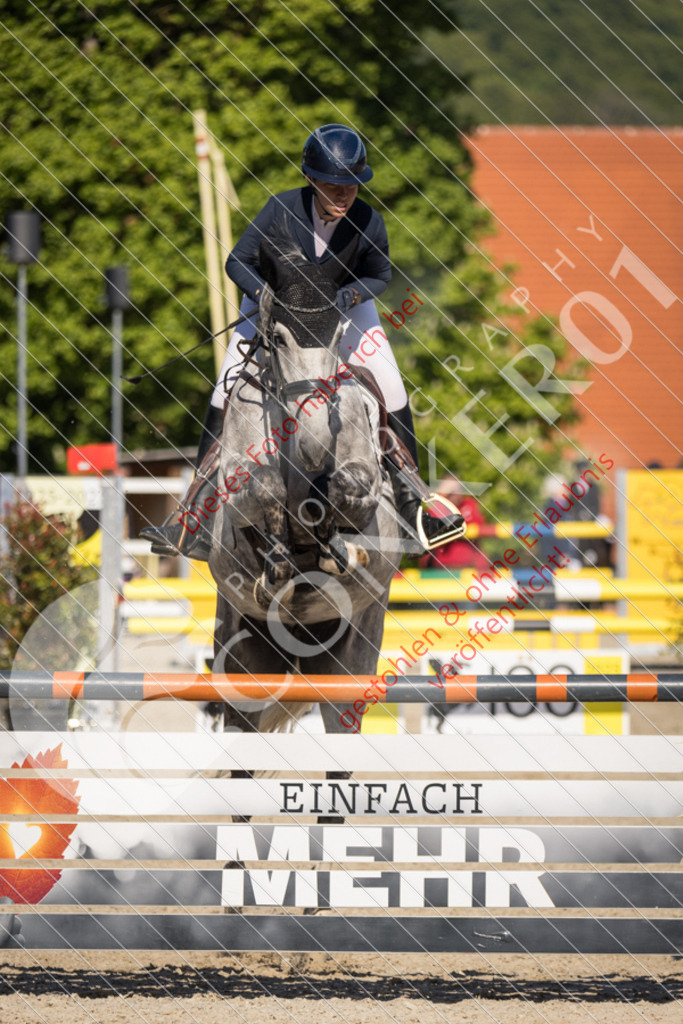 IMG_3007 | Sport-, Event- und Tierfotos in Profiqualität. Einfach auswählen, bestellen und herunterladen. Dein Moment – perfekt festgehalten.