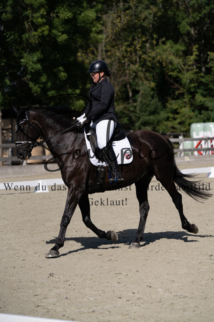 A7V07065 | Turnier/Reitfotograf
