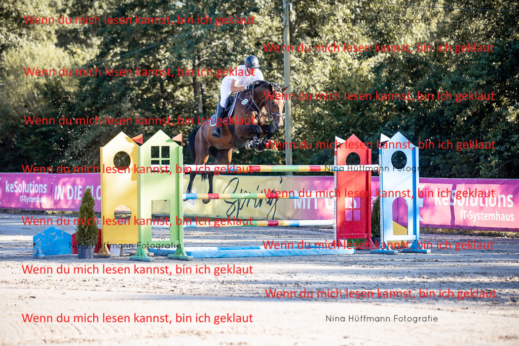 BK1A8765 | Turnierbilder Turnierfotos Nina Hüffmann Turnierfotografie Pferdefotografie Tierzeichnung Haustierzeichnung Pferdezeichnung Hundezeichnung Videograf  - Realisiert mit Pictrs.com