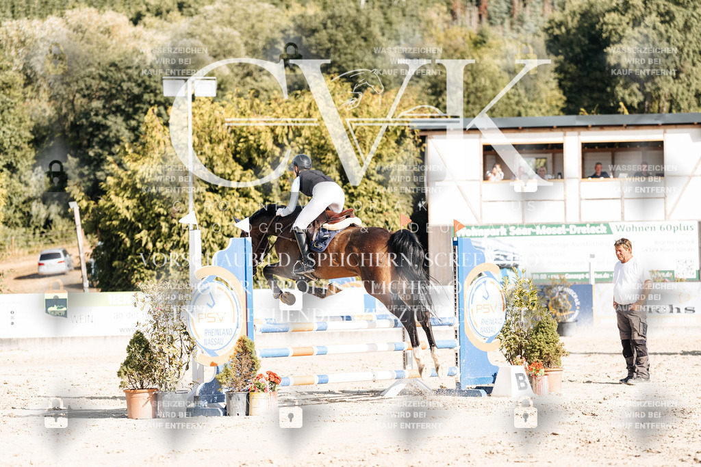 CK909267 | Turnierfotografie Pferdefotografie Trier Rheinland-Pfalz Pferdesport Reitsport Tierfotografie Sportfotografie Pferdevideo Pferdevideografie Equestrianvideography equestrianphotography  - Realisiert mit Pictrs.com