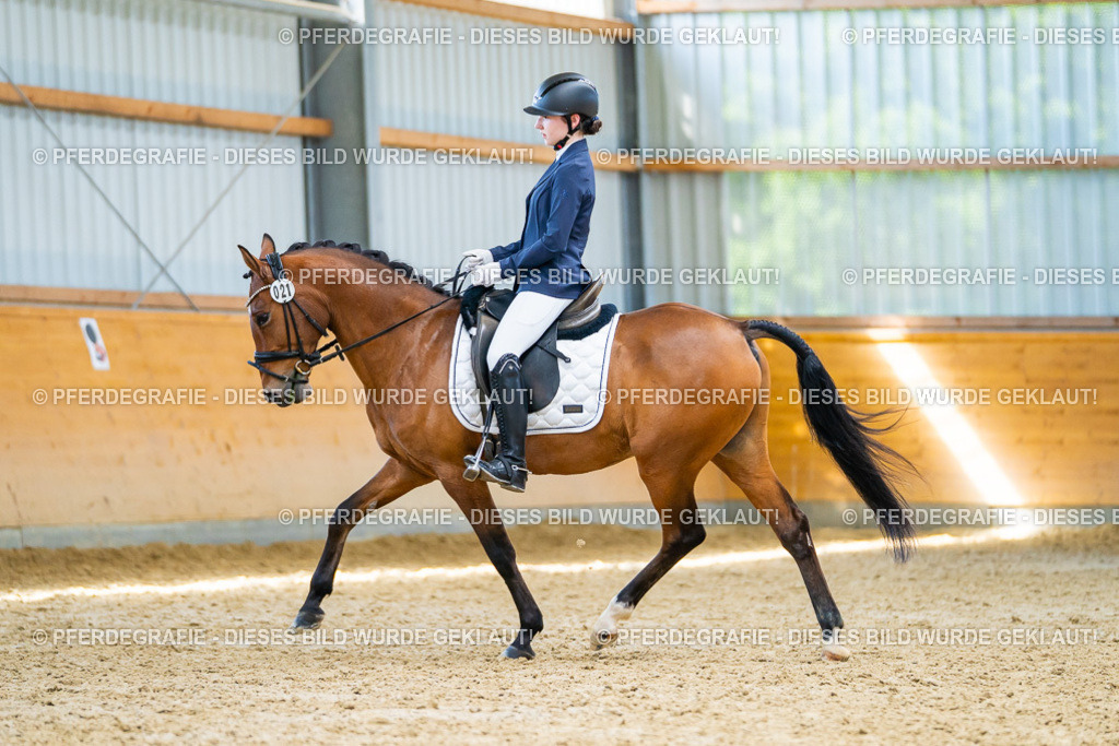 DSC08795 | Pferdegrafie