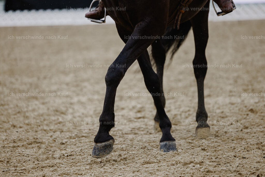 Mirjam25_FHC2025-24906 | working equitationturnier fotograf videograf stoibphotography marixx film working equitation deutschland reitsport turnierfotografie eventfotografie equestrian events