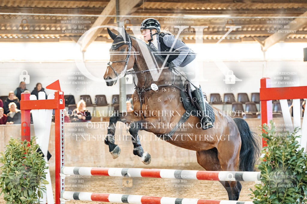 CK904654 | Turnierfotografie Pferdefotografie Trier Rheinland-Pfalz Pferdesport Reitsport Tierfotografie Sportfotografie Pferdevideo Pferdevideografie Equestrianvideography equestrianphotography  - Realized with Pictrs.com