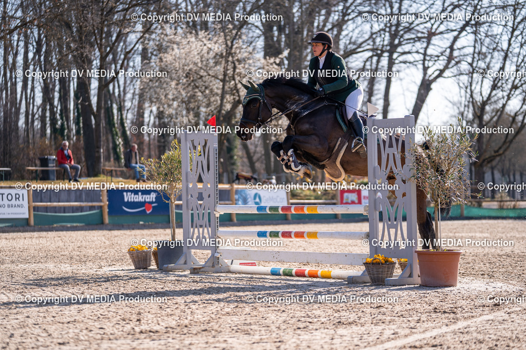 Kranichstein Tag 1-309 | dv-media-shop - Realisiert mit Pictrs.com