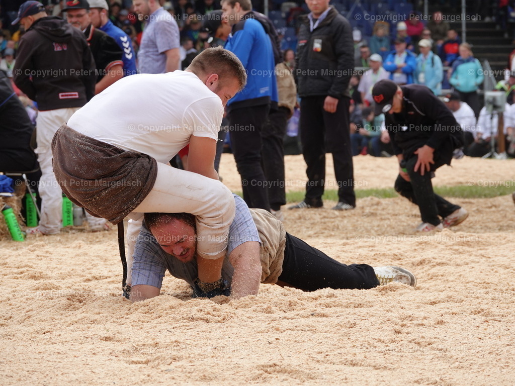 DSC08027 | Schwingen - Realisiert mit Pictrs.com