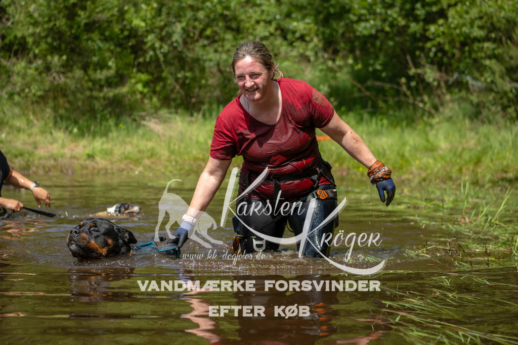 1255DKK993696 | kk-dogfotos