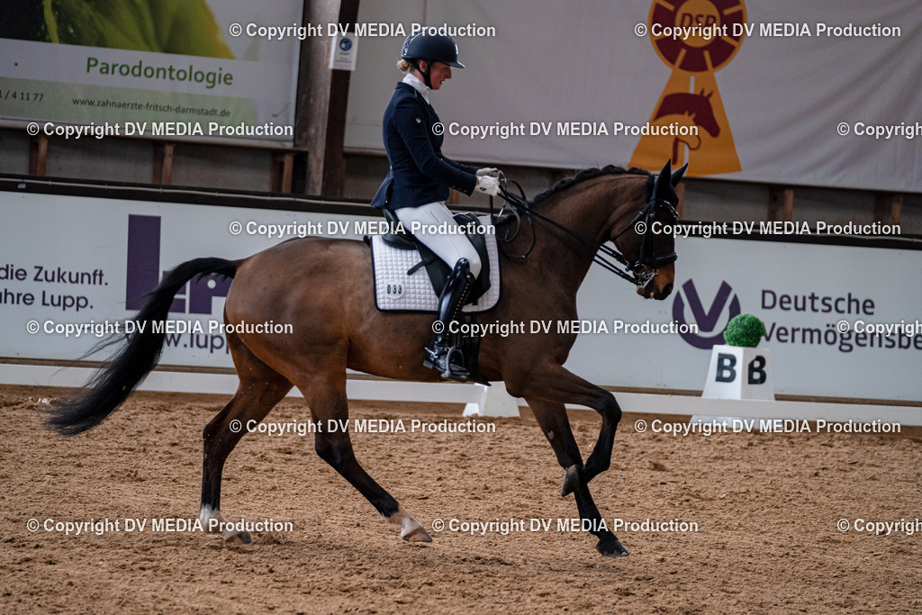 Kranichstein Tag 1-425 | dv-media-shop - Realisiert mit Pictrs.com